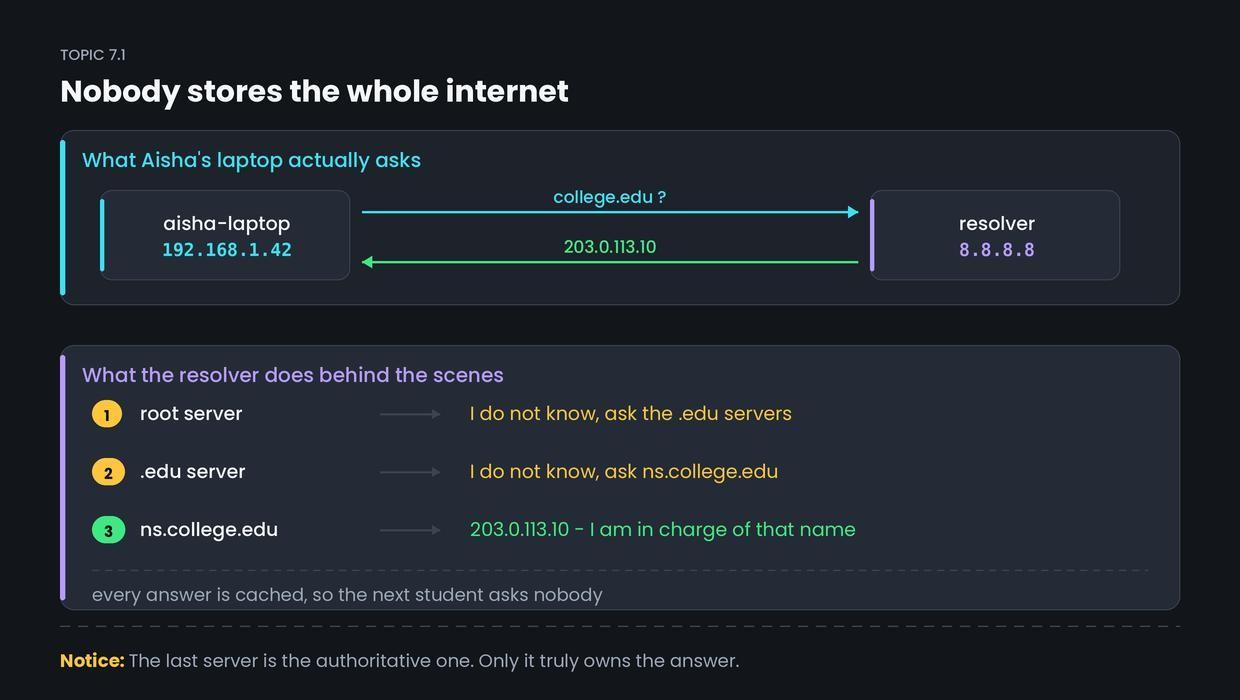 DNS — figure 1