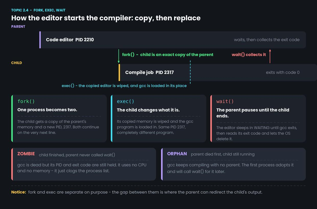 Creating processes: fork, exec, wait; zombies and orphans — figure 1